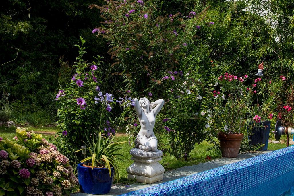 Villa Sonnenschein Hévíz Oda fotoğraf